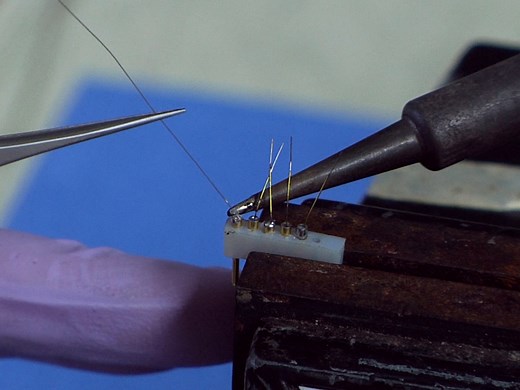 Whisker-signaled Eyeblink Classical Conditioning in Head-fixed Mice