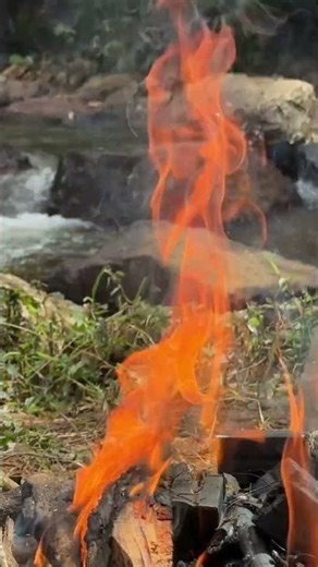 Crackling Campfire by the Forest Stream 🔥🌿 | Relaxing Fire & Water Sounds #Shorts