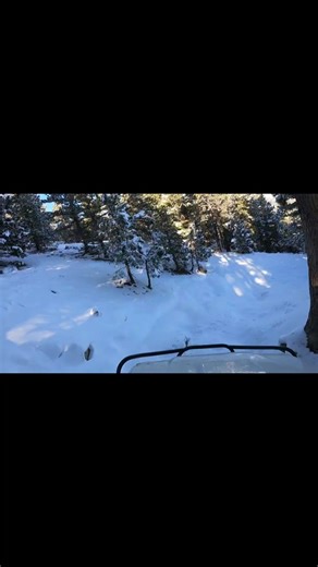 this tree cost more than $100 #toyota #toyota4x4 #bunceschoolroad #fypage #fyp #fypシ゚viral #smittybilt #diodedynamics #prinsuracks #35 #overlanding #4runnerlife #4runnermafia #toyotausa🇺🇸 #4runner #snow #snowwheeling #tree #trees #ironclads