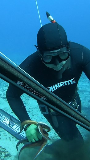 Hunting Hawaii Octopus | Ryan Myers