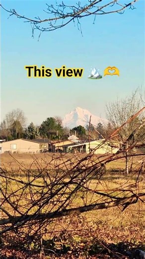 This view 🏔🫶 #mounthood #portland #life #nature #shorts #youtubeshorts #usa