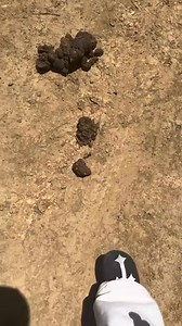 712K views · 20K reactions | Chano on Reels | Facebook