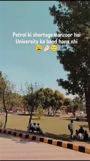 Exploring University Life at Emerson