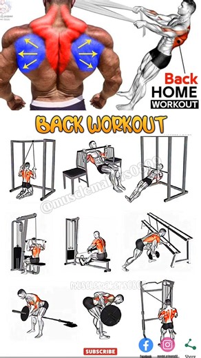 9 Powerful Back Workouts for Strength and Size #workout #backworkout #trending #viral #shorts #short