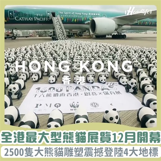 PANDA GO香港遊｜全港最大型熊貓展覽12月開幕！2500隻大熊貓雕塑登陸海洋公園星光大道等 附展覽詳情 stheadline.com/life #shorts
