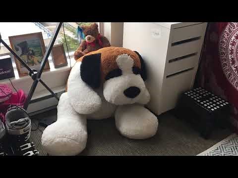 UBC room tour! (Marine Drive Studio)