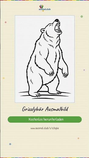 Grizzlybär Ausmalbild | Kostenlos als PDF