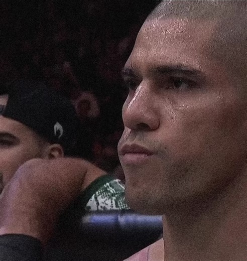 Alex Pereira: Poatan UFC Highlights and Walkouts