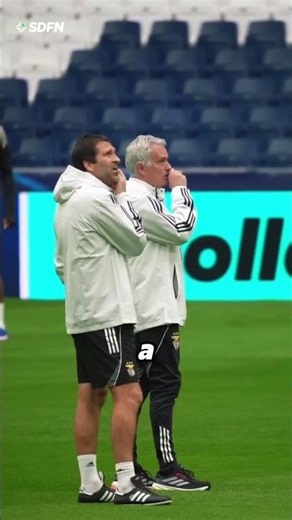 Coaches And Their Levels As Players