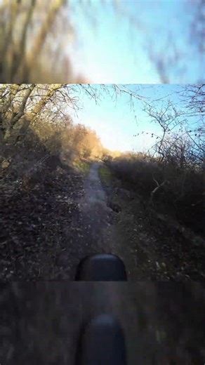 3 very small Jumps 🤠 MTB #mtb #shorts