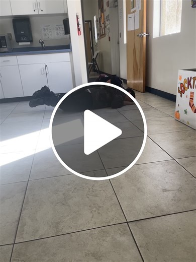 2 dumbahh friends fell for some goddamn chocolate  #fight #viral - NewsBreak