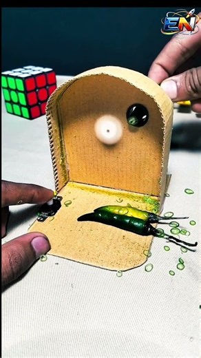 DIY chili cutter machine with DC motor #experiment #scienceproject #diy