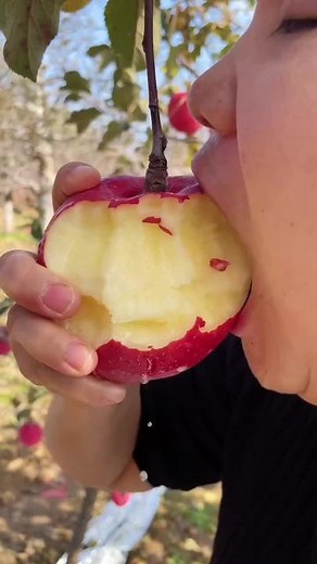 Exploring the Joy of Eating Organic Fruits