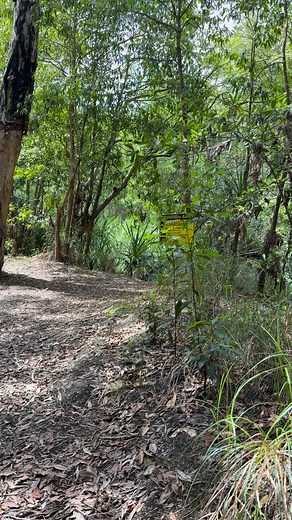 ALWAYS obey warning signs in Croc Country, legends. And if there’s no sign saying you CAN swim, assume you can NOT!! Because chances are a crocodile has already moved in and is waiting, silently and stealthily, for something to make the mistake of entering the water.. Don’t let that something be you. STAY CROCWISE 👀🐊 Northern Territory Australia | Wildman Adventures