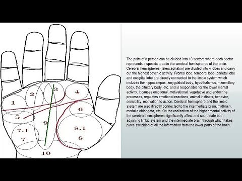 Palmistry “Palm Reading” Fate line, Career line, Job line | Line of fate, Line of career |