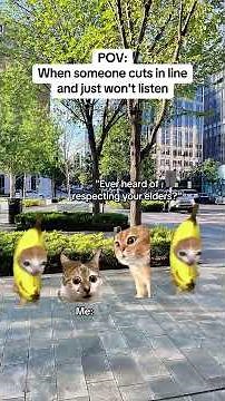 CAT MEMES 🐱When someone cuts in line and just won't listen #catmemes #relatable #relationship