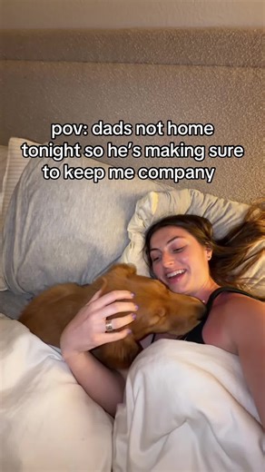 Golden Retriever Puppy Bedtime Routine