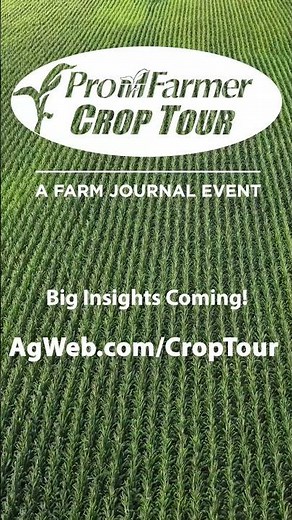 Big insights are coming! Tune into AgWeb.com/CropTour for the latest from the Pro Farmer Crop Tour