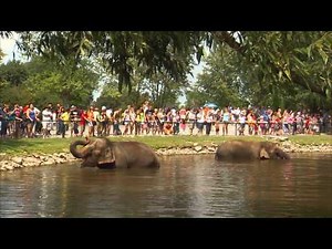 "GO WILD!!" at African Lion Safari!