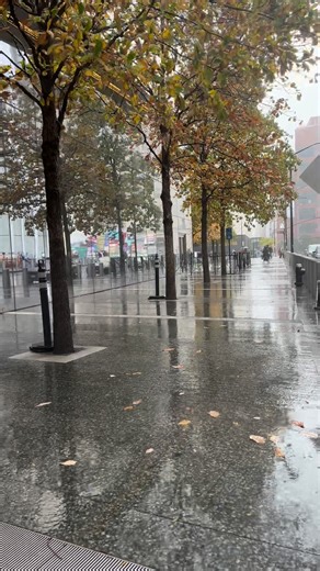 Rainy Day #rainyday #rain #rainvibes | New York Daily Vlogs