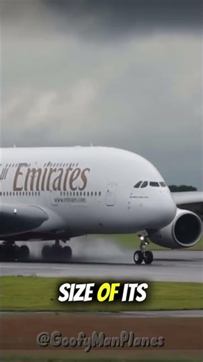 Why does this plane have folding wingtips?#boeingaircraft#boeing#777##777x