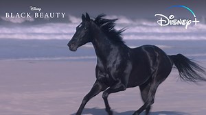 It’s called prioritizing self-care. Take a moment for yourself and enjoy these serene moments from #BlackBeautyMovie, now streaming. #DisneyPlus #SeasonsStreamings | Disney