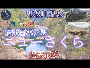 【日光・鬼怒川温泉】伊東園ホテルニューさくら☆全国旅行支援割引で過去最安!!無料貸切温泉風呂のアレが宿の高評価!!☆1泊2食バイキング&アルコール飲み放題付き☆