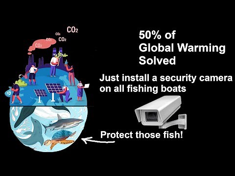 Fish Camera: Save the World's Fish & Solve Global Warming