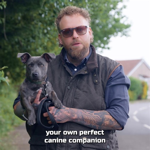 🐾 Puppy driving you mad? Whether it’s: 😬 Constant biting and nipping 🎢 Chaos on walks - pulling, barking, or refusing to move 😴 Crying all night 💩 Toilet accidents everywhere 💥 Destroyed furniture and shoes... You’re not alone - and it doesn’t have to be this way. I’ve created a FREE course - Principles of Perfect Puppy Training - designed to take the stress and confusion out of raising your dog. ✅ Easy-to-follow structure ✅ Backed by years of hands-on experience ✅ Fix the chaos and enjoy 