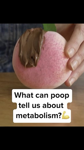 14-Day Metabolism Reset Plan for Women | RMR Quiz by Fitness Expert