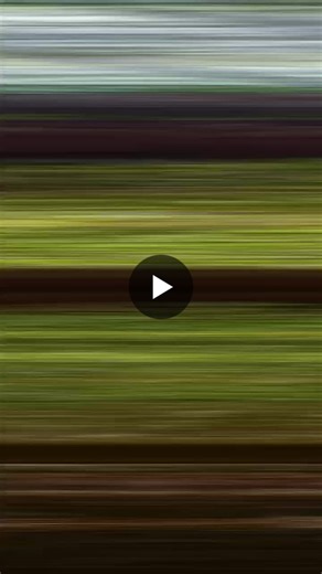 In the Islamic tradition of education, authentic learning should lead to embodied knowing. Knowledge and skills are acquired and refined so they can be applied in the moral, social, and intellectual… | Washington International Academy