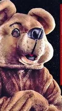 Operation Bear Claw: Bear Suit Insurance Fraud Ends in California Sentences