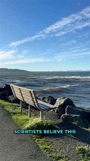 Sea Slug Secret BANNED? | Incredible Regeneration Fact