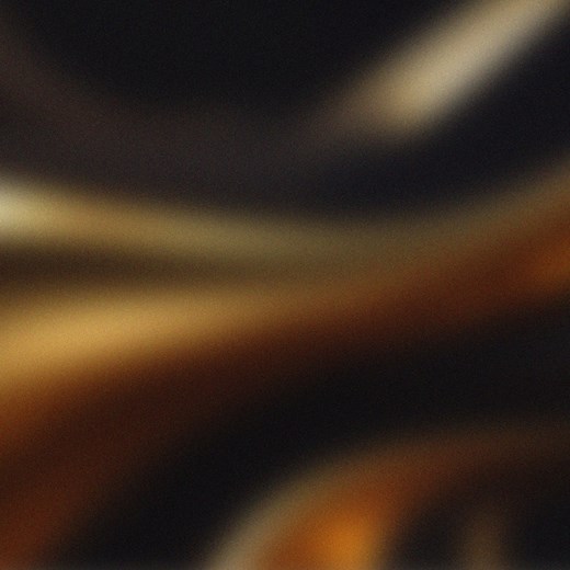 Rust Veins - The Phantom Harmonic: Song Lyrics, Music Videos & Concerts