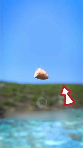 peluru berhenti atau tidak jika di tembak ke air‼️😨