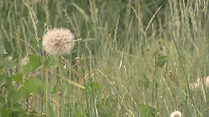 Unusually high dust levels across Colorado causing allergy-like symptoms