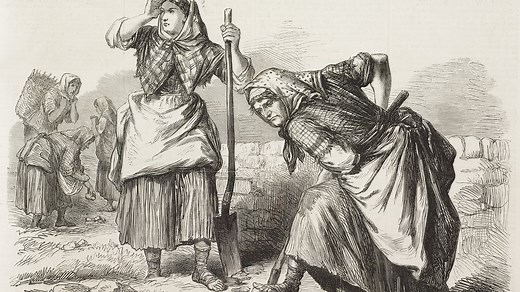 A history of women's land rights in Ireland