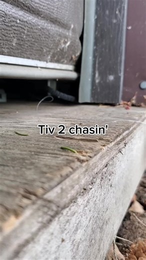 Not what I wanted but it's alright #stormchaser#tiv2#fyp #absolutecinema #takemeout#mid