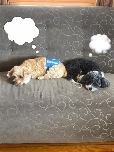 Dreaming of your next vacation? The experts here at VIP are ready to turn those dreams into reality! Let’s chat!  610-865-1055  info@vacationsbyvip.com | VIP Vacations Inc | Facebook