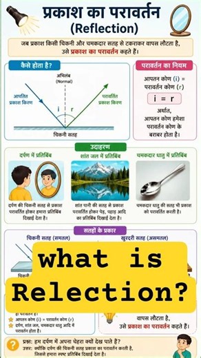 Reflection of Light Explained in 60 Seconds | Easy Science Trick for Students #shorts