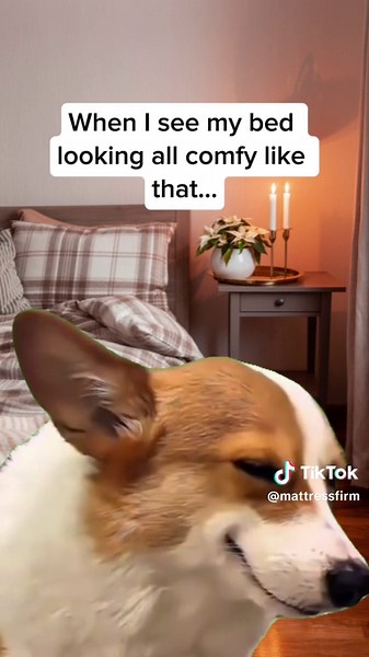 Flirty Beds: Finding the Perfect Mattress for Comfort