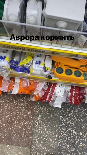 Torn_shark на TikTok