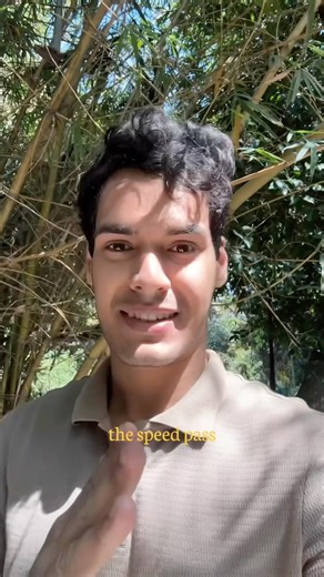 The Yellow Light Theory | Life Perspective