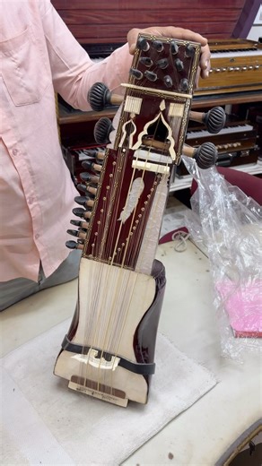 Sarangi | professional