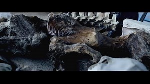 9K views · 231 reactions | ✨ For lovers of the strange & unusual. . ....