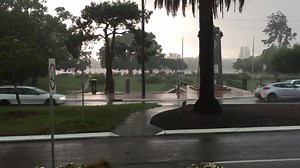 Taree weather today | Manning River Times