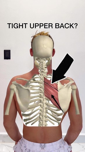 Simple movements to relieve upper back tension 🕺🏼 And life is much better with a healthy back and lubricated spine! Give em a go, modify as needed and remember to breath 🖤 #backmobility #backpain #backpainrelief #backpaintreatments #backstiffness #viral #fyp @maysyoga_