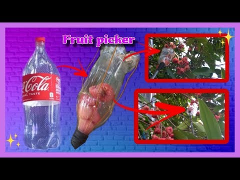 PAANO GUMAWA NG PANUNGKIT || FRUIT PICKER #diycrafts #diy #fruitpicker || @AteDarsTV