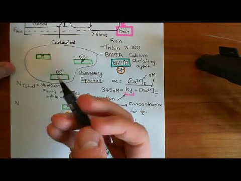 Measuring Intracellular Calcium with Fluo-4 Part 5