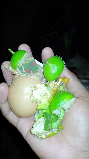 How to Make Compost Using Kitchen Scraps